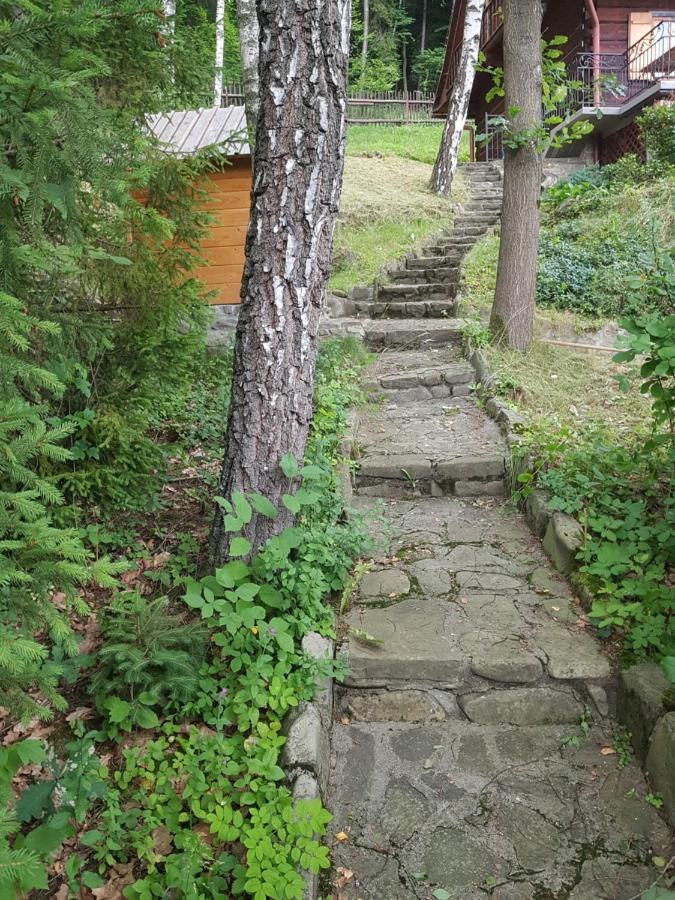 Gniewnik Villa Pcim Exteriör bild